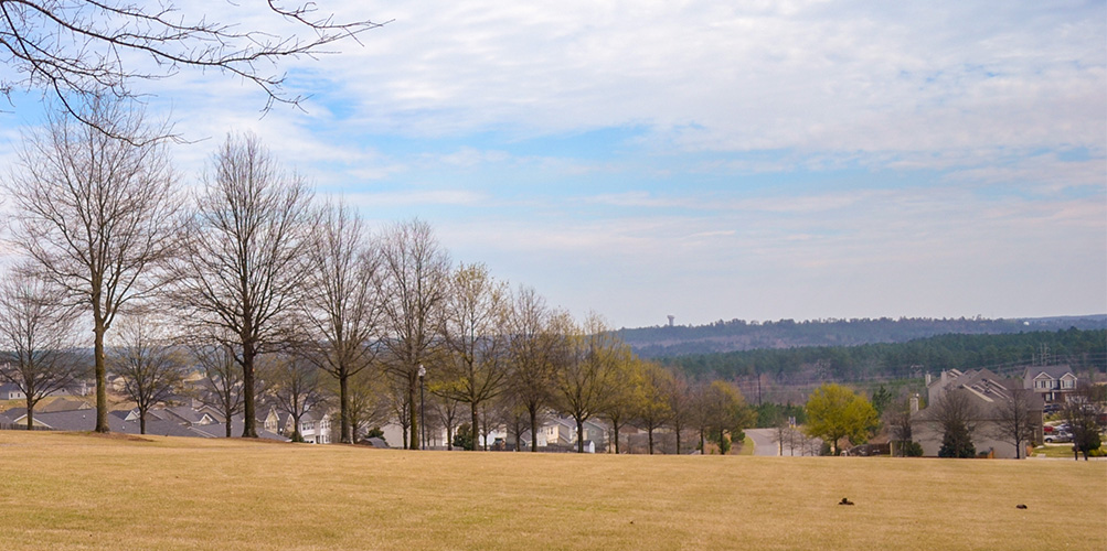 View of a large lawn with residential homes in the background from Sage Creek Park in Graniteville, South Carolina.