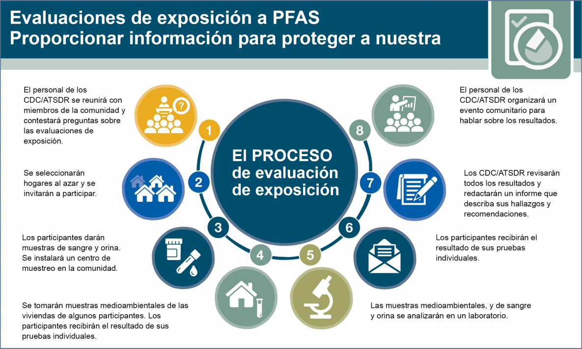 Proceso de evaluación de la exposición: Paso 1 Reunión de la comunidad, Paso 2 Selección de hogares, Paso 3 Toma de muestras de sangre y orina, Paso 4 Toma de muestras medioambientales, Paso 5 Análisis de las muestras, Paso 6 Envío de los resultados de las pruebas a los participantes, Paso 7 Los CDC y la ATSDR revisan los resultados y redactan un informe , Paso 8 Evento comunitario para hablar sobre los resultados