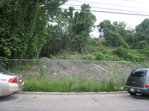 Fence line view of the Pile portion of the Borit site