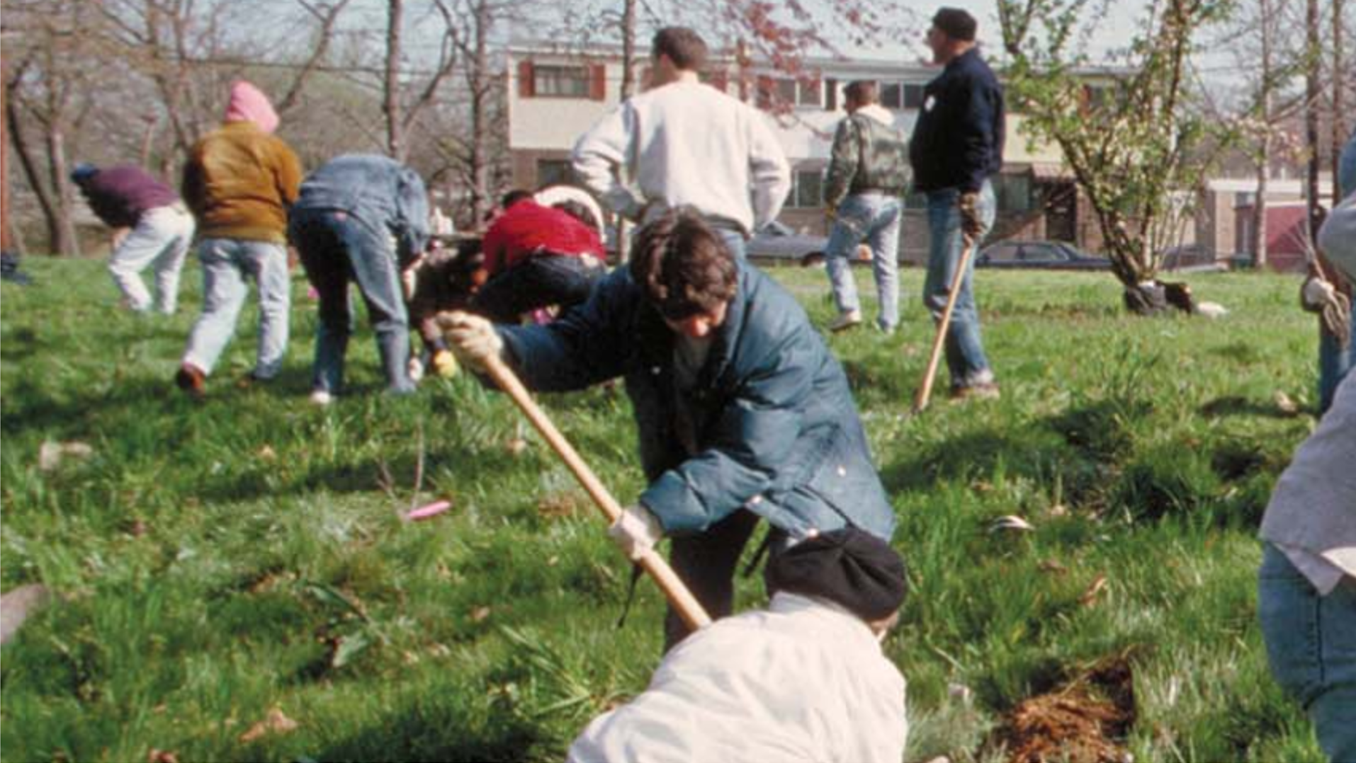 Group of people digging and planting outside.