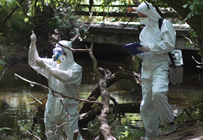 First Responders in Personal Protective Gear working by a river where an environmental disaster happened.