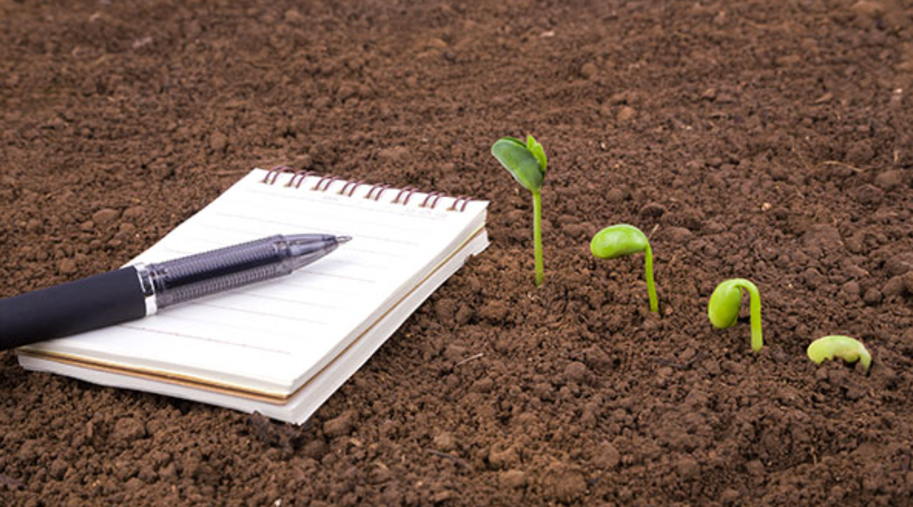 Notebook and pen next to sprouting plants on soil.