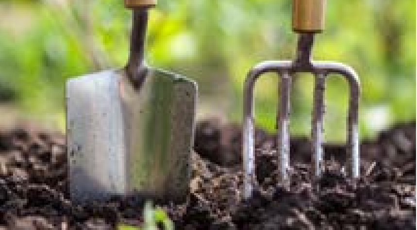 Garden tools in dirt