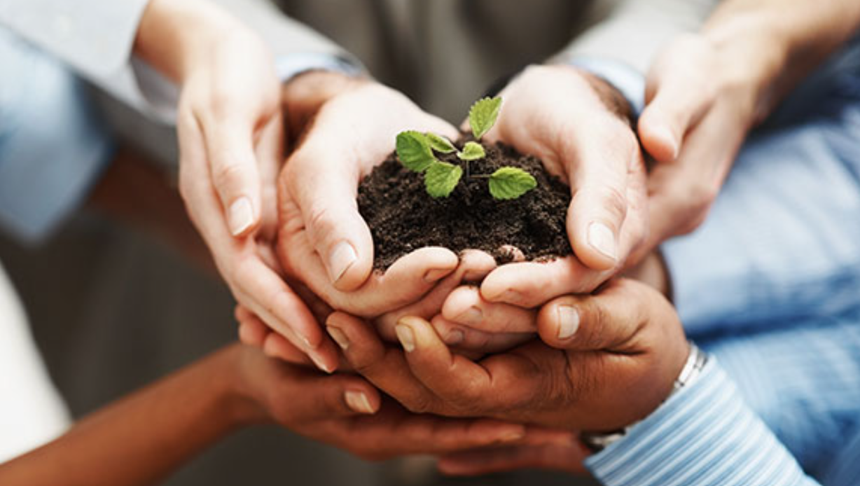 Many hands holding a plant.