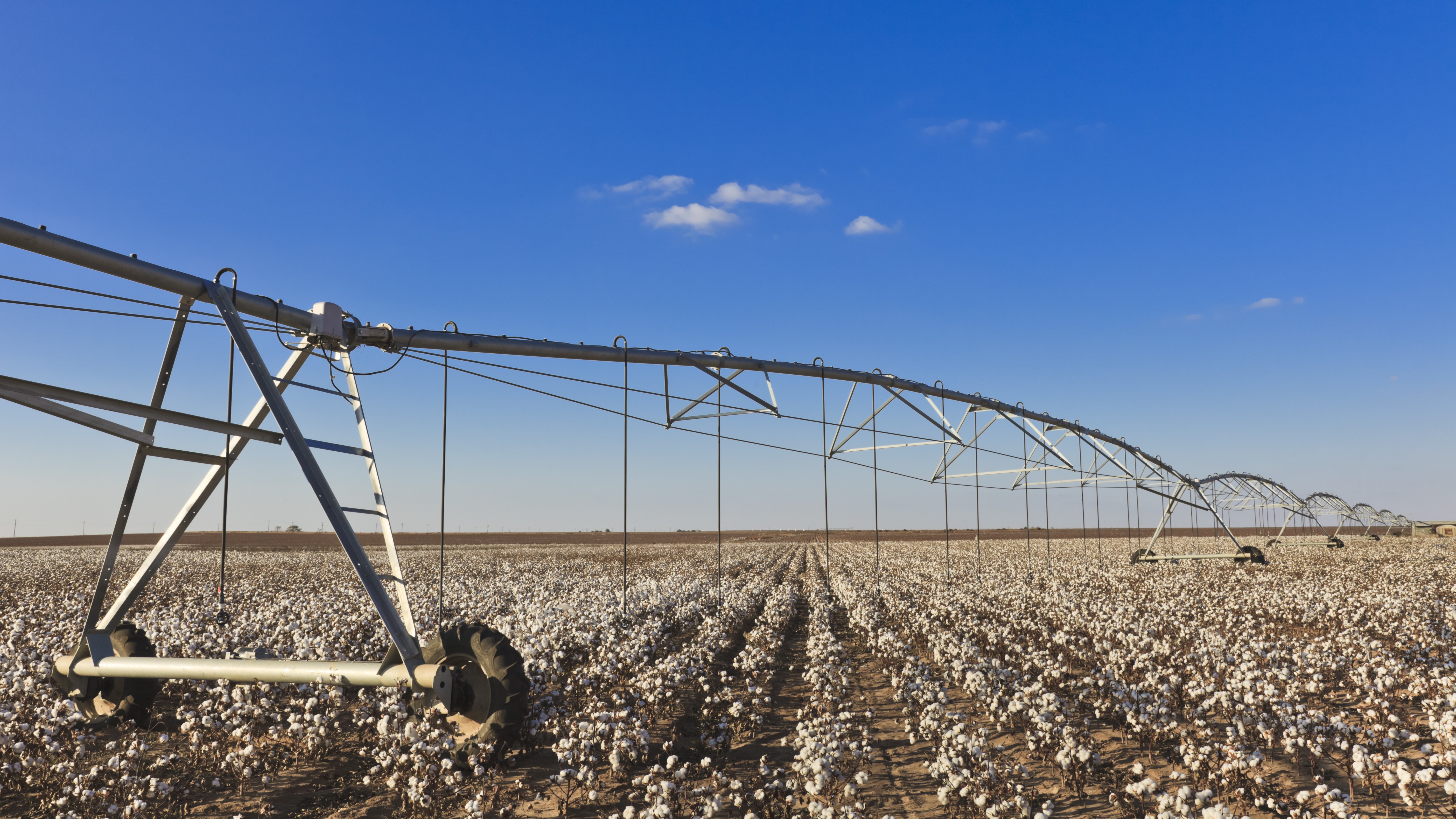 irrigation equipment in cotton field