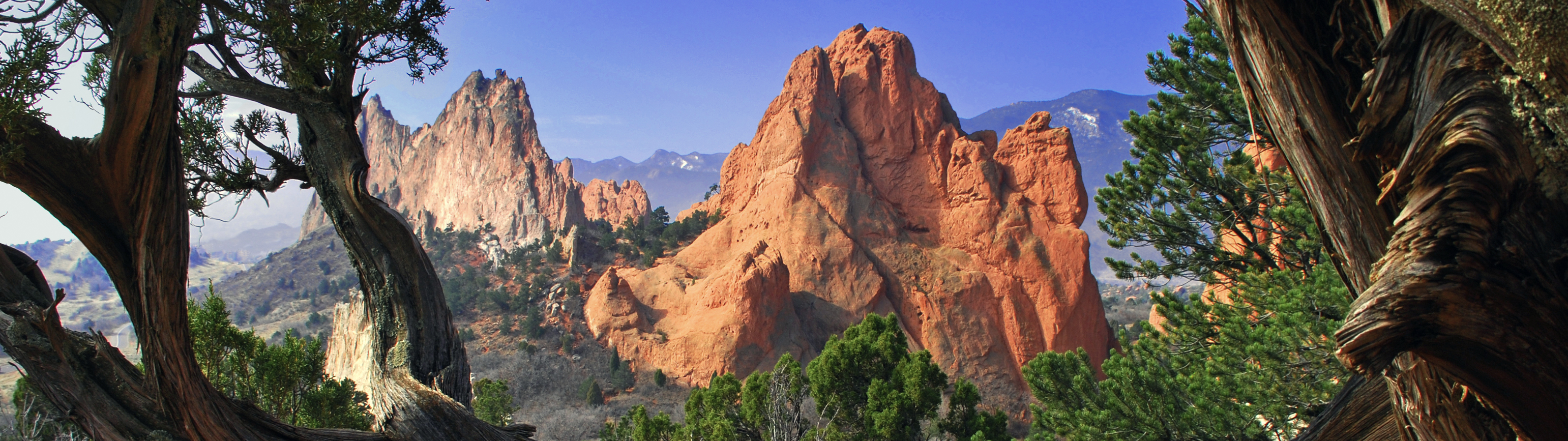 Twisted tree trunks frame two rugged peaks in the Colorado mountains.