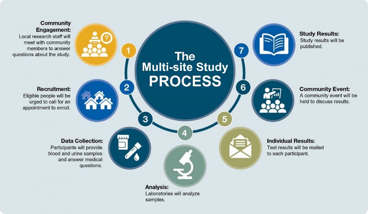 Image showing the Multi-site Study Process.