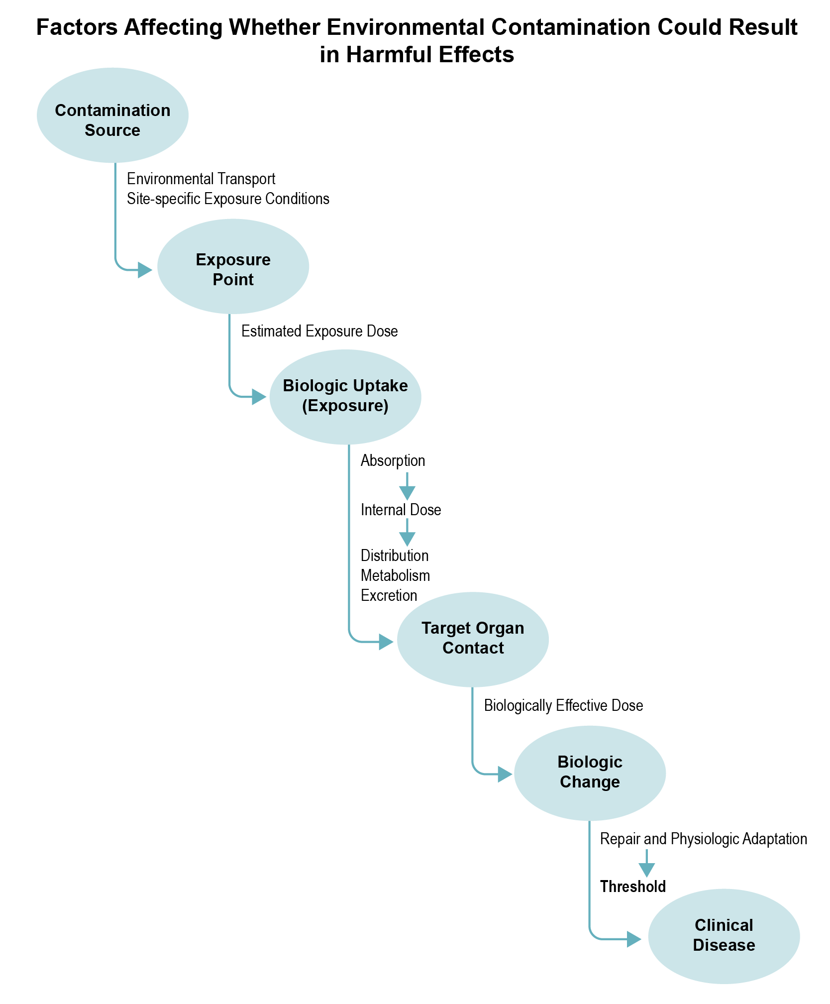 Flow diagram of factors affecting whether environmental contamination could result in harmful effects.