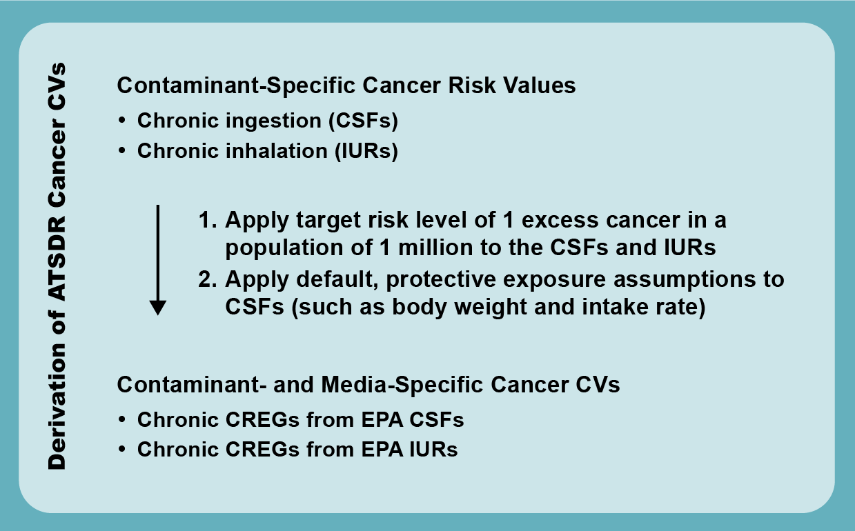 Flow chart of the derivation of Cancer CVs