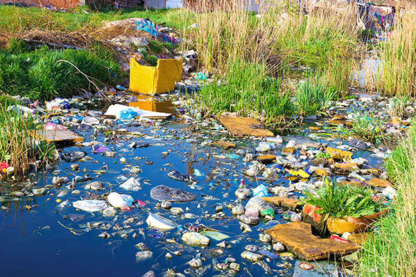 River with green, tall grass filled with trash and debris